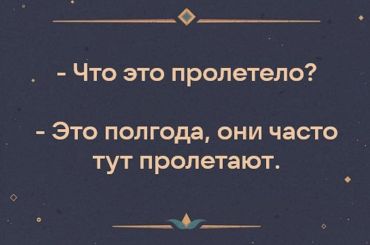 -Что это пролетело? -Это полгода, они часто тут пролетают...